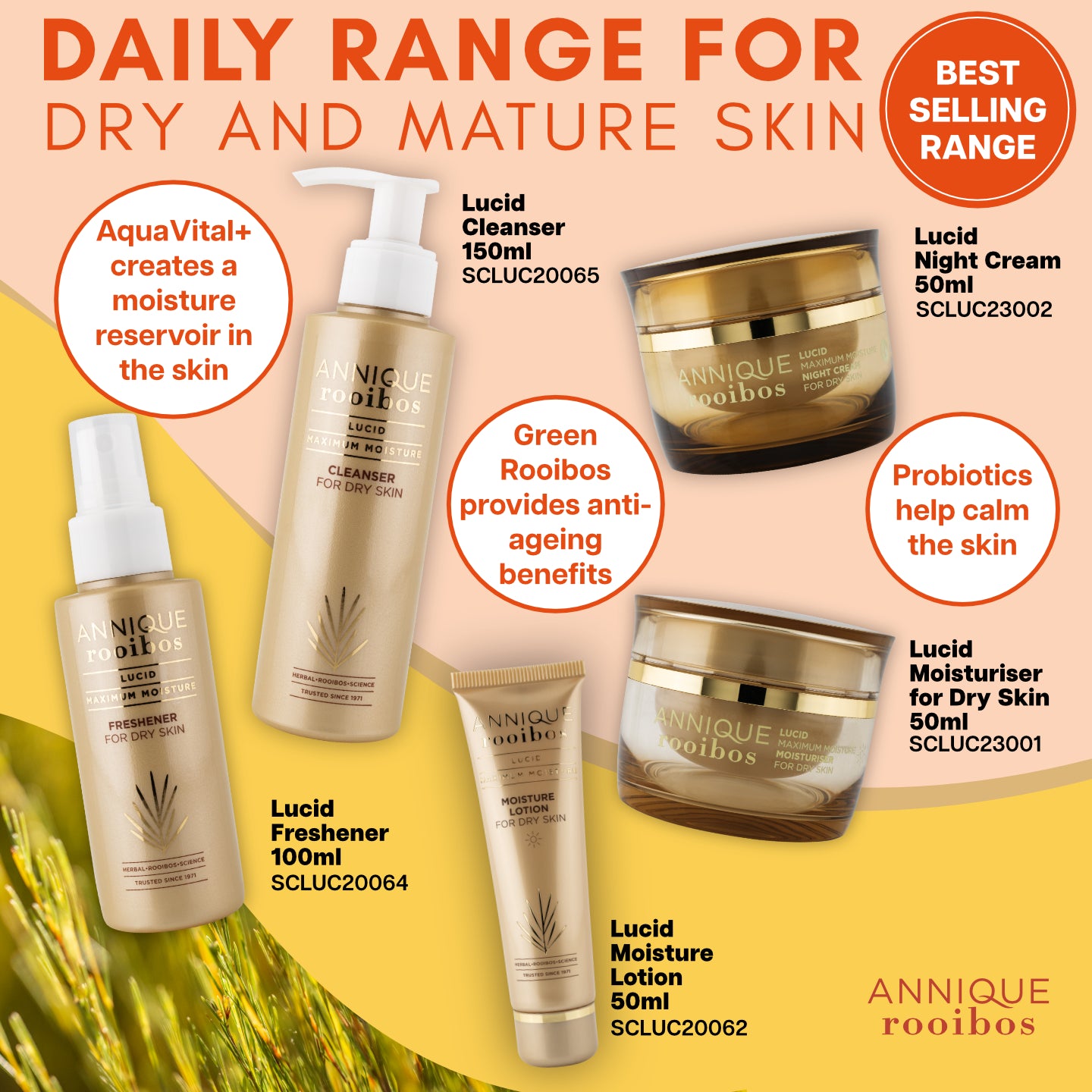 Annique Lucid Freshener 100ml